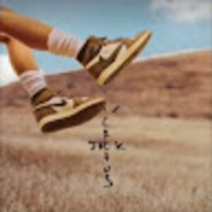 Meet your Posher, Peyton